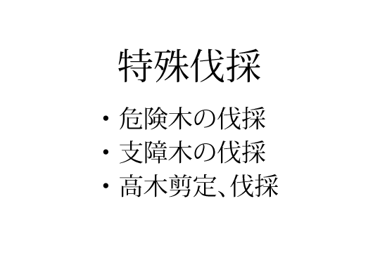 特殊伐採の内容